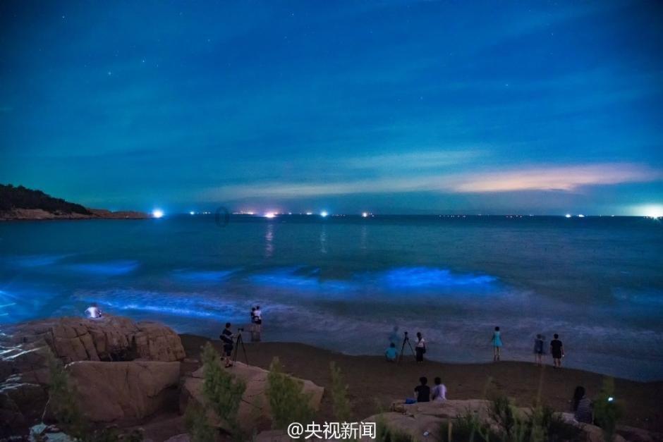 交管123123违章查询—专业问答交流平台!